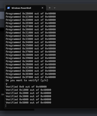 Verifying that the flash worked.